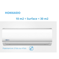 Climatiseur mural HOKKAIDO ACTIVE LINE DC INVERTER 2500 watts pour 9 à 25 m2