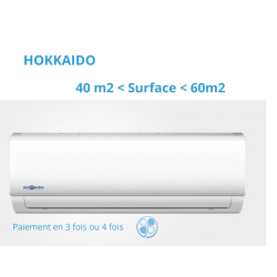 Climatiseur mural HOKKAIDO ACTIVE LINE DC INVERTER 5000 watts pour 45 à 65 M2